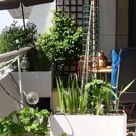 民宿 Guestroom With Wide View And Pool Near Side, 2nd Guest With Extra Bed Possible *